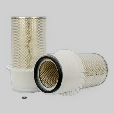 Air Filter (P182064)