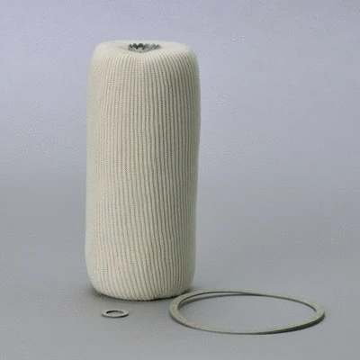 Fuel Filter (P550541)