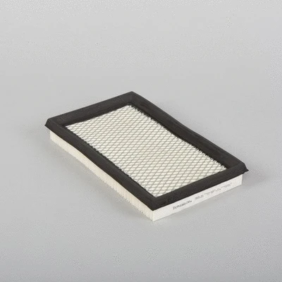 Air Filter (P500082)