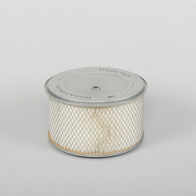 Air Filter (P526753)