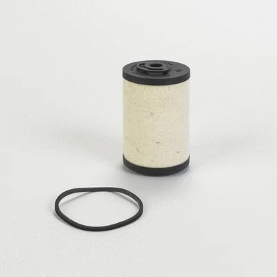 Fuel Filter (P550481)