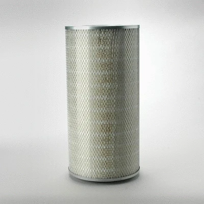 Air Filter (P181137)