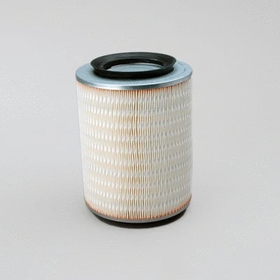 Air Filter (P500014)