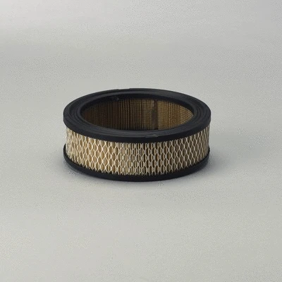 Air Filter (P528231)