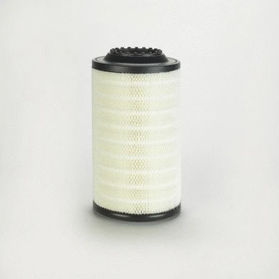 Air Filter (P782328)