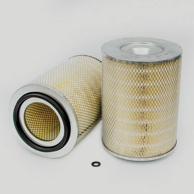 Air Filter (P127075)