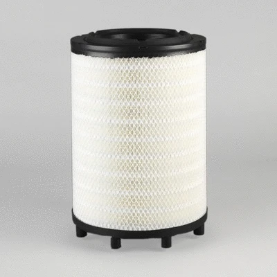 Air Filter (P953211)