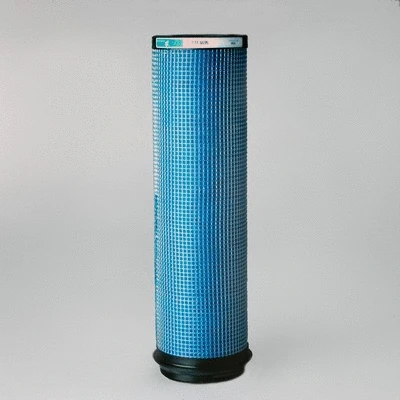 Secondary Air Filter (P776695)