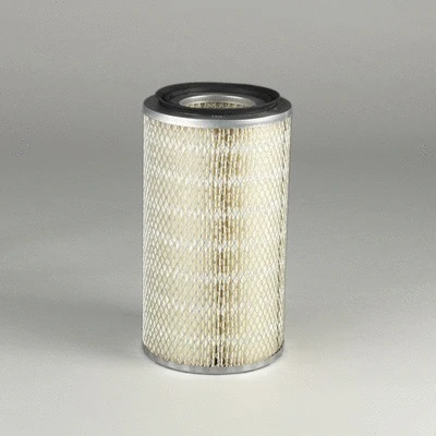 Air Filter (P181163)