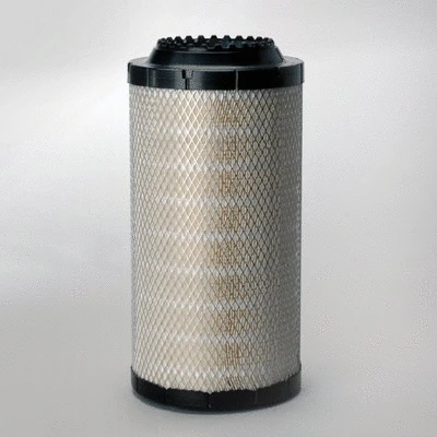 Air Filter (P778994)