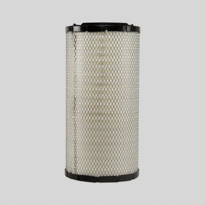 Air Filter (P777638)
