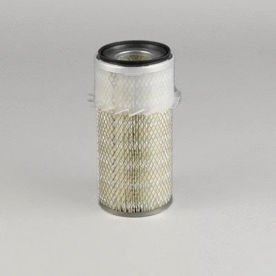 Air Filter (P776567)