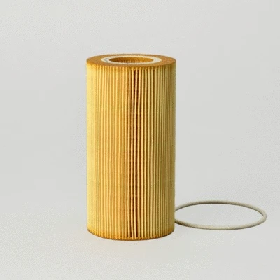 Oil Filter (P550812)