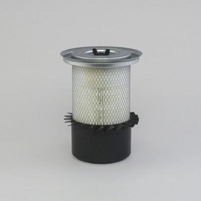 Air Filter (P771589)