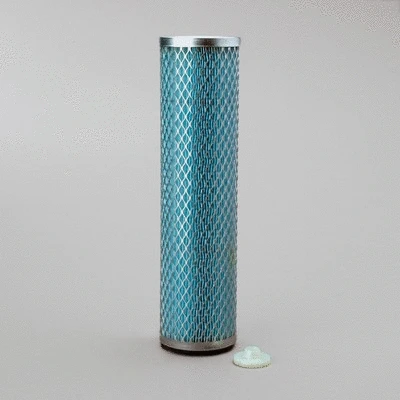 Secondary Air Filter (P112212)