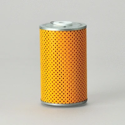 Fuel Filter (P502132)