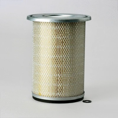 Air Filter (R804759)