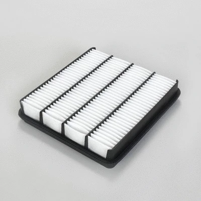 Air Filter (P506035)