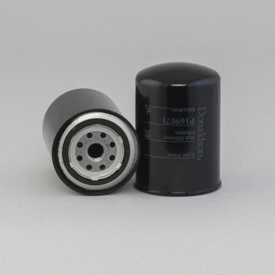 Oil Filter (P169071)