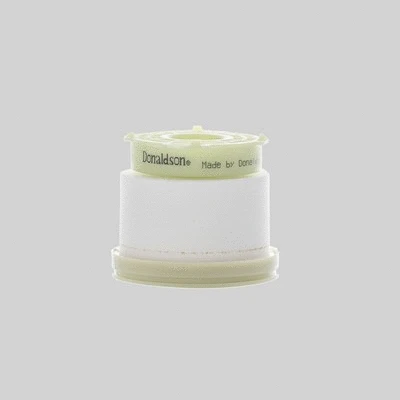 Fuel Filter (P506093)