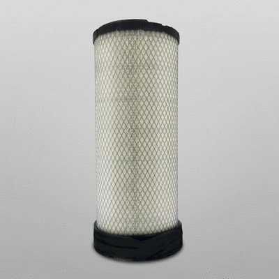 Secondary Air Filter (P953215)