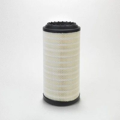 Air Filter (P789377)