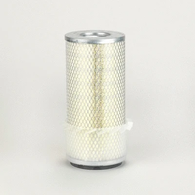 Air Filter (P776615)