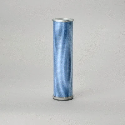 Secondary Air Filter (P181208)