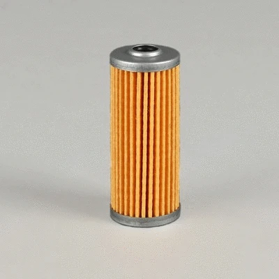 Fuel Filter (P502166)