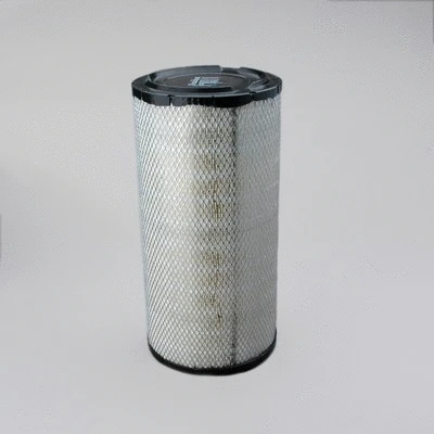 Air Filter (P532966)