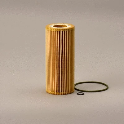 Hydraulic Filter, automatic transmission (P573350)