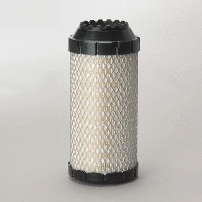 Air Filter (P778979)