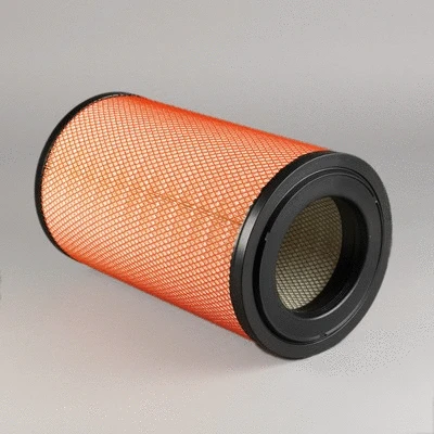 Air Filter (P781741)