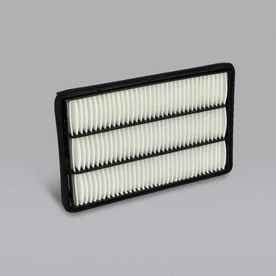 Air Filter (P505999)