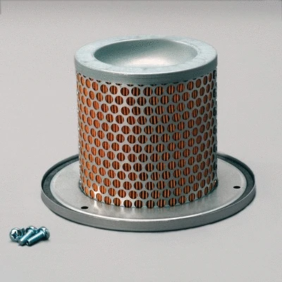 Secondary Air Filter (P783501)