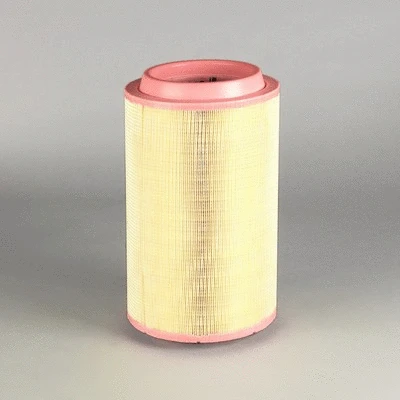 Air Filter (P950910)
