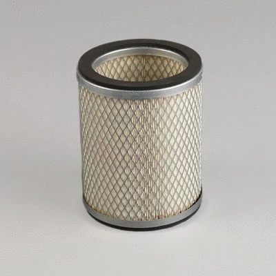 Secondary Air Filter (P776303)
