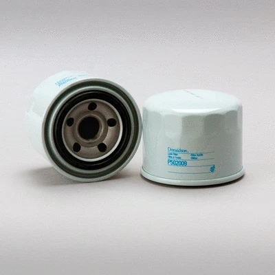 Oil Filter (P502009)