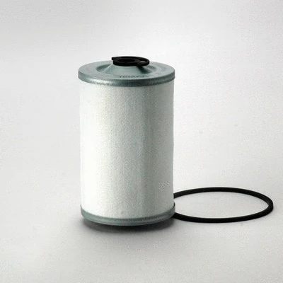 Fuel Filter (P550061)