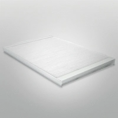 Air Filter (P753334)