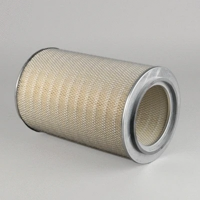 Air Filter (P783729)