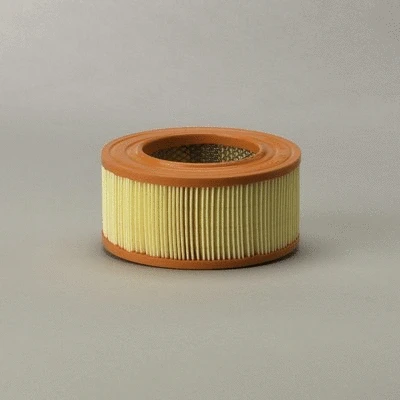 Air Filter (P607240)