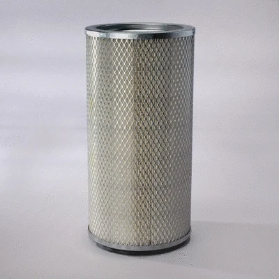 Secondary Air Filter (P136401)