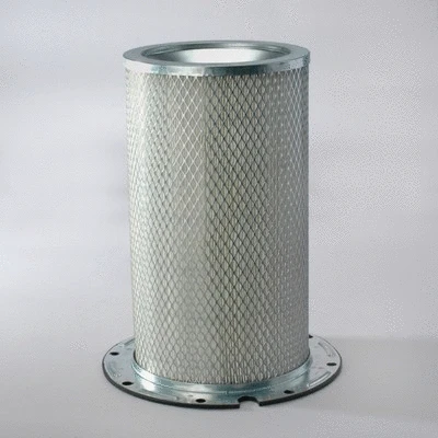 Secondary Air Filter (P158670)