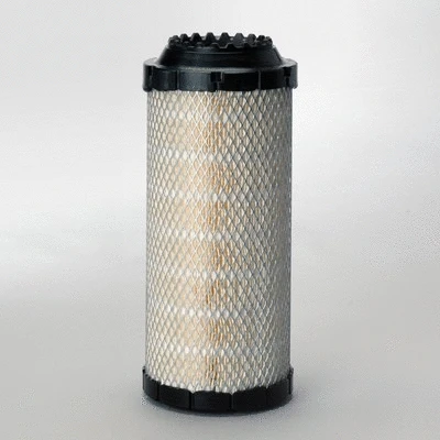 Air Filter (P778989)