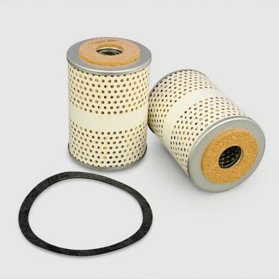 Fuel Filter (P550201)
