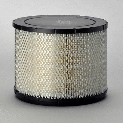 Air Filter (P181107)