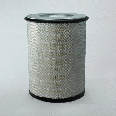 Air Filter (P782857)