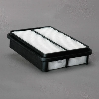 Air Filter (P606060)