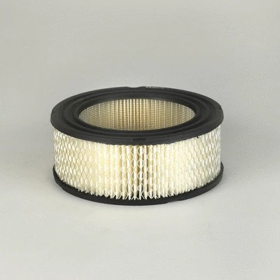 Air Filter (P539477)